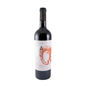 Marel Tinto
